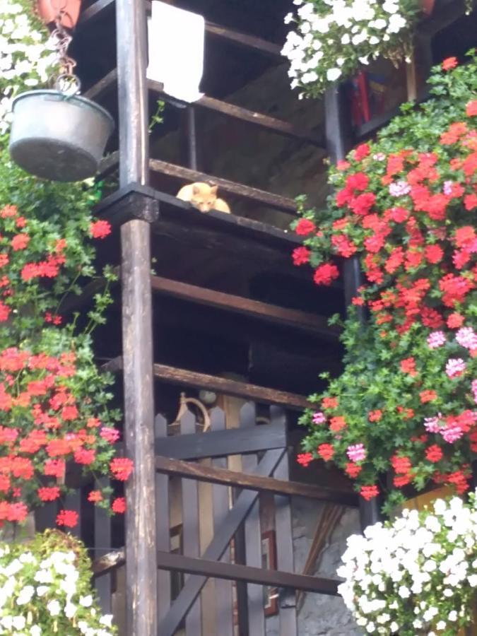 B&B "La Baita Delle Coccinelle" Varallo Exterior foto