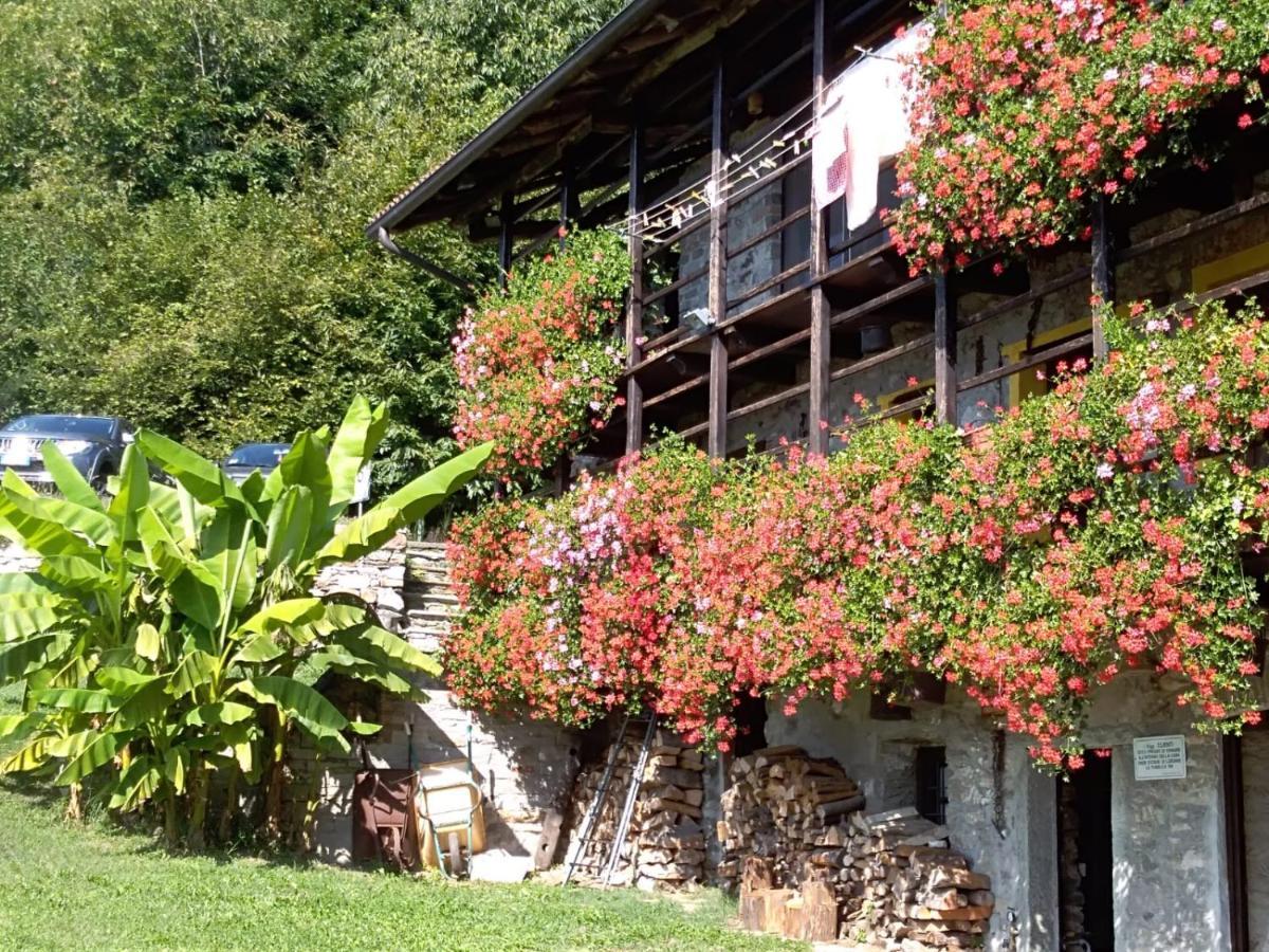 B&B "La Baita Delle Coccinelle" Varallo Exterior foto